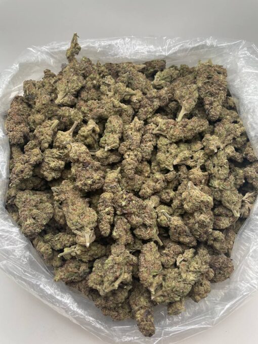 London Fog – AAA Indoor Flower