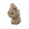 Bruntz – AAA Indoor Flower