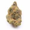 Italian Cherriez – Indoor Flower (Hybrid)